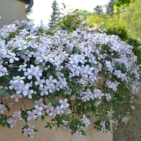 לינה וארוחת בוקר ז'יברני Le Clos Fleuri מראה חיצוני תמונה